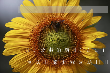 車子分期逾期會(huì)怎么樣（白條逾期可以廠家金融分期買車嗎）