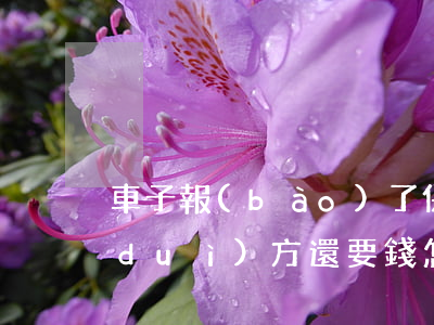 車子報(bào)了保險(xiǎn)對(duì)方還要錢怎么處理(車出險(xiǎn)對(duì)方不給錢怎么處理)