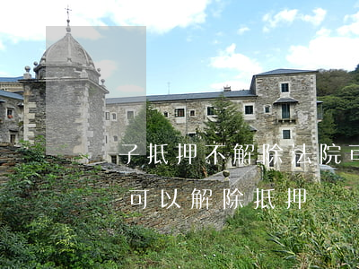 車子抵押不解除法院可以查封嗎(法院查封車輛可以解除抵押嗎)