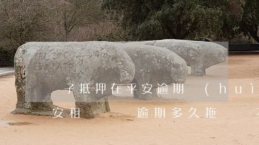 車子抵押在平安逾期會(huì)拖車嗎(平安租賃車貸逾期多久拖車,車不要了)