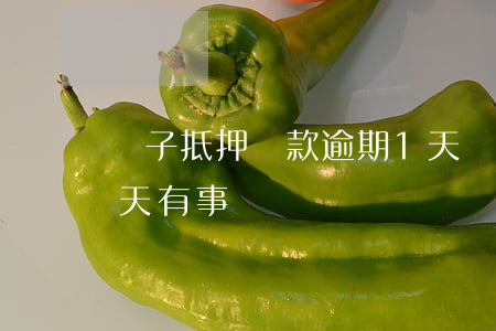 車子抵押貸款逾期1天(車子抵押貸款逾期1天有事嗎)