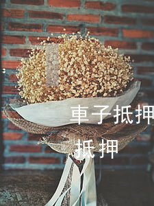 車子抵押貸款逾期半個月(車貸逾期而車又被抵押)