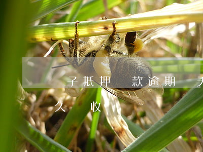 車子抵押貸款逾期幾天了(抵押車貸款逾期多久會收車)