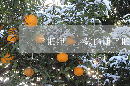 車子抵押辦貸款逾期了(抵押車貸款逾期一個月)