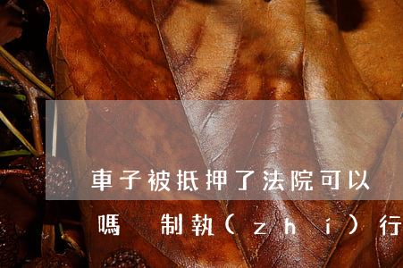 車子被抵押了法院可以強制執(zhí)行嗎(強制執(zhí)行對方有車已經(jīng)抵押怎么辦)
