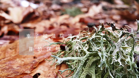 車子被法院凍結(jié)了可以買保險嗎(買的保險會不會被凍結(jié))