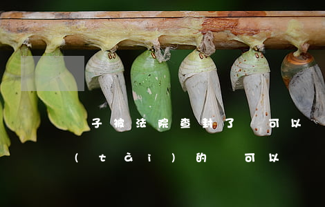 車子被法院查封了還可以買嗎(法院查封狀態(tài)的車可以買嗎)