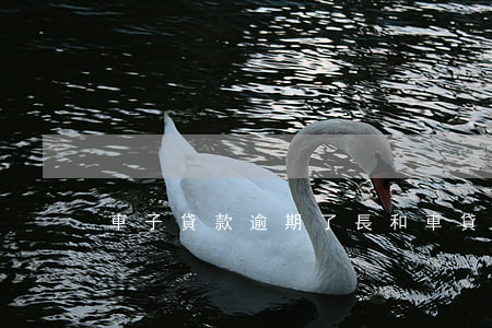 車子貸款逾期了（長和車貸逾期半年）