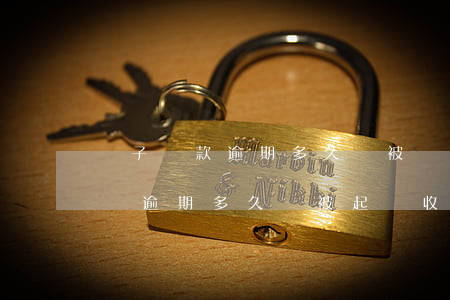 車子貸款逾期多久會被銀行起訴（工商銀行車貸逾期多久會被起訴收車）
