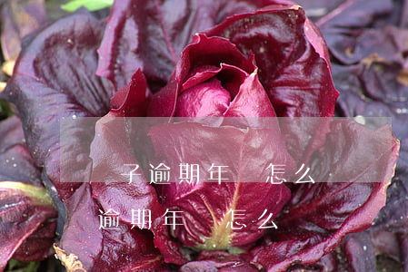 車子逾期年審怎么處罰規(guī)定（車子逾期年審怎么處罰）