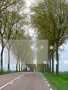 車子逾期年檢怎么處罰 車子逾期年檢怎么處罰年審顯示違章