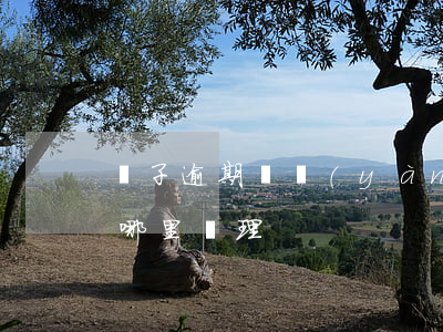 車子逾期檢驗(yàn)去哪里(逾期檢車去哪里處理)