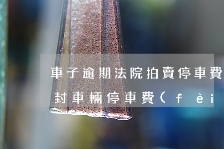 車子逾期法院拍賣停車費(fèi)(法院查封車輛停車費(fèi))