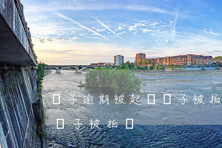 車子逾期被起訴車子被拍賣(車子逾期被起訴車子被拍賣)