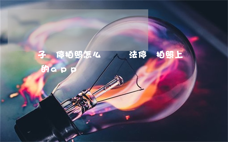 車子違停拍照怎么賺錢(違法停車拍照上傳掙錢的app)