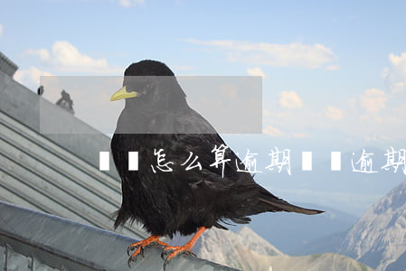 車審怎么算逾期 審車逾期怎么處理