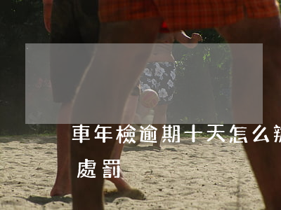 車年檢逾期十天怎么辦(年檢逾期10天怎么處罰)