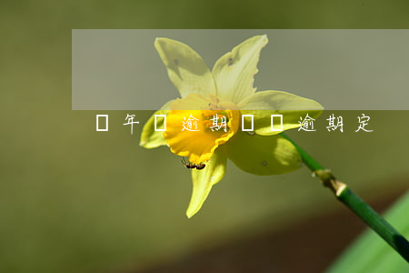 車 年檢 逾期（車檢逾期定）