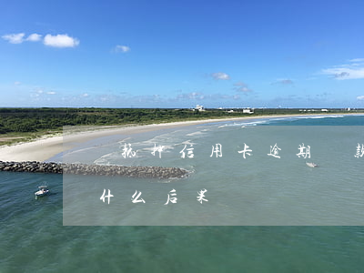 車抵押信用卡逾期還款后果(車抵貸逾期會有什么后果)