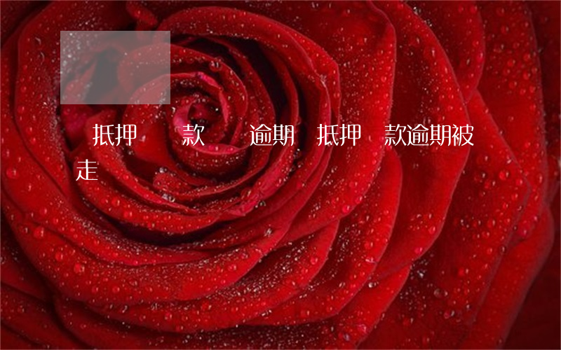 車抵押給貸款機構逾期(車抵押貸款逾期被開走)