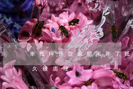 車抵押貸款逾期半年了(抵押車輛一般逾期多久被處理)