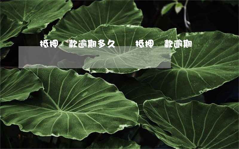 車抵押貸款逾期多久(車輛抵押貸款逾期)