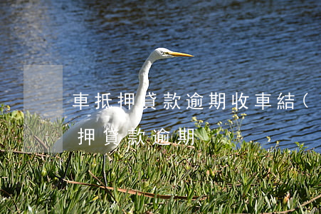 車抵押貸款逾期收車結(jié)果(車輛抵押貸款逾期)