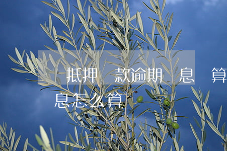 車抵押貸款逾期罰息計算(車貸逾期怎么算利息怎么算)