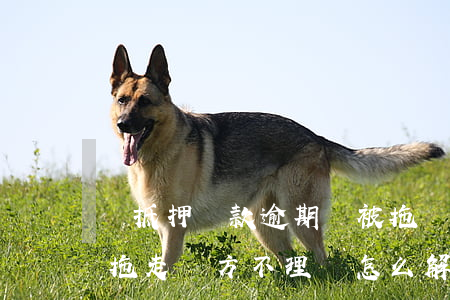 車抵押貸款逾期車被拖(車抵押貸款逾期車被拖走對方不理會怎么解決?)