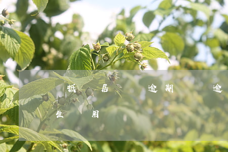 車抵貸居間費逾期 車貸逾期產(chǎn)生費用嗎