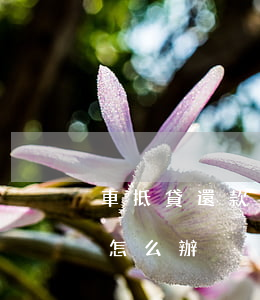 車抵貸還款多久算逾期(汽車抵押貸款逾期了怎么辦)