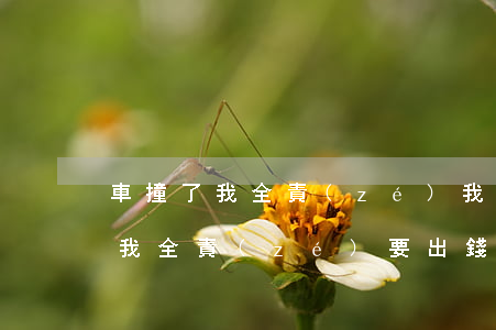 車撞了我全責(zé)我要出多少錢(撞人后我全責(zé),要出錢嗎)
