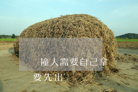 車撞人需要自己拿錢嗎(車子把人撞了、自己要先出錢嗎)