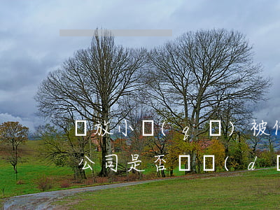 車放小區(qū)被他人損害，物業(yè)公司是否該擔(dān)責(zé)？