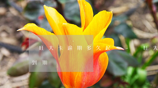 車旺大卡逾期多久起訴-車旺大卡提醒車輛到期
