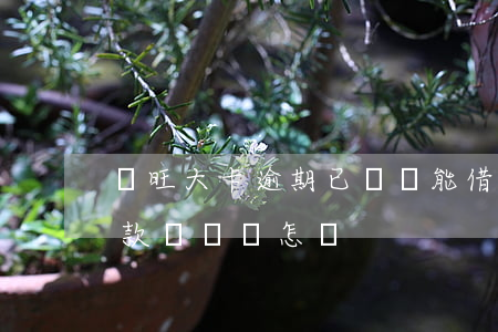 車旺大卡逾期已還還能借出來嗎(車旺大卡借款沒還會怎樣)