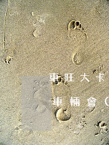 車旺大卡逾期沒還(車旺大卡欠費(fèi)車輛會(huì)有啥表現(xiàn))