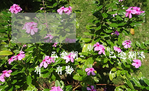車檢已逾期-車檢已逾期保險(xiǎn)有沒有影響?