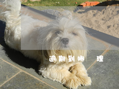 車檢逾期到哪處理(車檢逾期到哪處理)