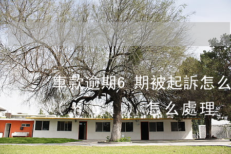 車款逾期6期被起訴怎么辦(車款逾期法院會(huì)怎么處理)