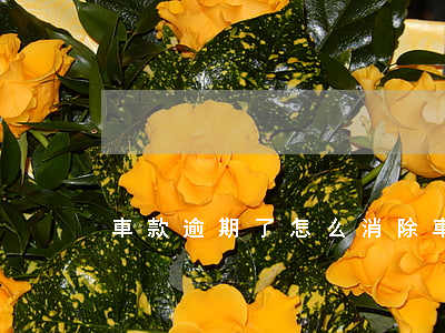 車款逾期了怎么消除（車貸逾期怎么撤銷）