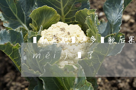 車款逾期兩年多還款后果(車貸逾期四年沒(méi)還了)