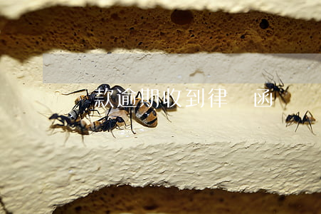 車款逾期收到律師函(車貸逾期收到律師函)