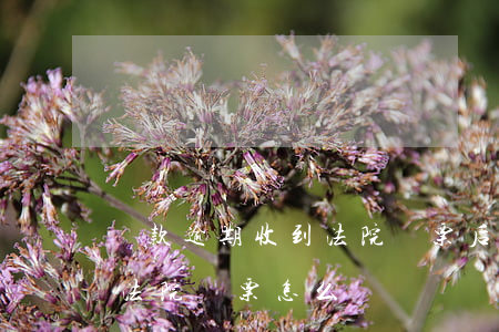 車款逾期收到法院傳票后的流程-汽車違章法院傳票怎么辦