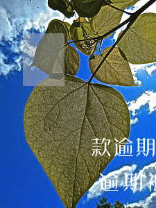 車款逾期被法院起訴會(huì)怎么樣(車貸逾期被告上法庭的后果)