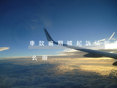 車款逾期被起訴法院(車貸逾期被告上法院怎么辦)