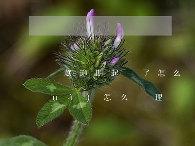 車款逾期起訴了怎么辦(車貸逾期法院會(huì)怎么處理)