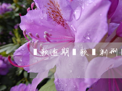 車款逾期還款會判刑嗎(車貸還款逾期的后果)