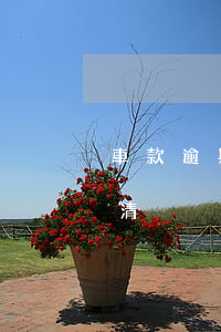 車款逾期還款被起訴(車貸逾期卻被告知已還清)