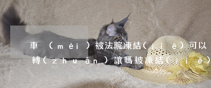 車沒(méi)被法院凍結(jié)可以轉(zhuǎn)讓嗎(被凍結(jié)的車輛可以進(jìn)行買賣嗎)